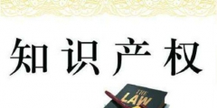 完善有關(guān)網(wǎng)絡(luò)知識產(chǎn)權(quán)的法律規(guī)定