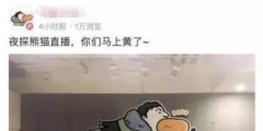 “王思聰”商標(biāo)被公然叫賣80萬！