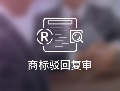 美國商標復審和上訴委員會任命新的副首席法官