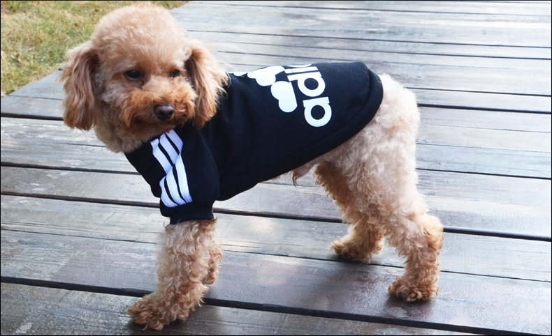 Adidas還有寵物服裝支線Adidog？ 其實(shí)是商標(biāo)侵權(quán)