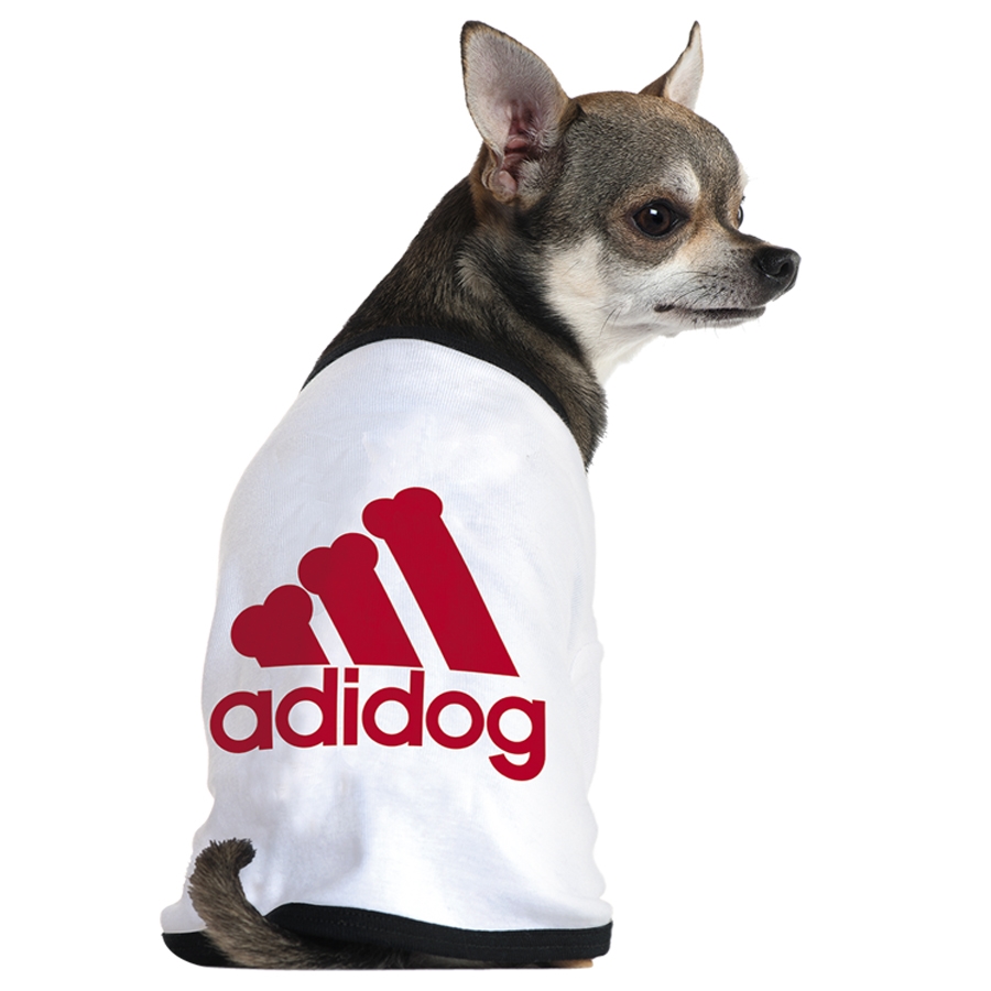 Adidas還有寵物服裝支線Adidog？ 其實(shí)是商標(biāo)侵權(quán)