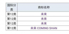 蔚來”為什么不用“未來”，商標是否被他人注冊