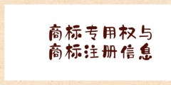 商標(biāo)注冊(cè)網(wǎng)上（查詢商標(biāo)注冊(cè)的官方網(wǎng)）