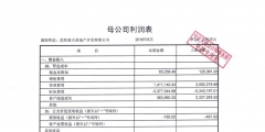 財務報表審計具體審查的內(nèi)容（審計時公司報表有什么要注意的）