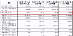 2023年北京怎么注冊內(nèi)資股份公司（）