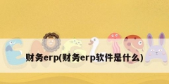 財務erp(財務erp軟件是什么)