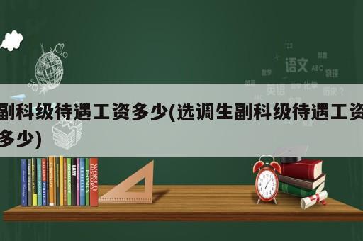 副科級待遇工資多少(選調(diào)生副科級待遇工資多少)