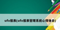 ufo報(bào)表(ufo報(bào)表管理系統(tǒng)心得體會(huì))