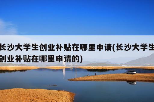 長沙大學(xué)生創(chuàng)業(yè)補(bǔ)貼在哪里申請(qǐng)(長沙大學(xué)生創(chuàng)業(yè)補(bǔ)貼在哪里申請(qǐng)的)