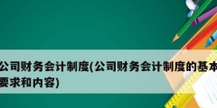 公司財務(wù)會計(jì)制度(公司財務(wù)會計(jì)制度的基本要求和內(nèi)容)