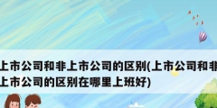 上市公司和非上市公司的區(qū)別(上市公司和非上市公司的區(qū)別在哪里上班好)