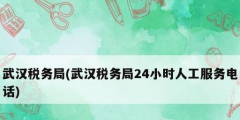 武漢稅務局(武漢稅務局24小時人工服務電話)