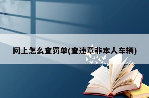 網(wǎng)上怎么查罰單(查違章非本人車輛)