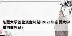 東莞大學(xué)創(chuàng)業(yè)資金補(bǔ)貼(2021年東莞大學(xué)生創(chuàng)業(yè)補(bǔ)貼)