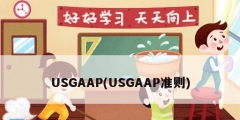 USGAAP(USGAAP準(zhǔn)則)