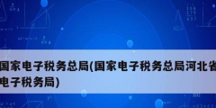 國家電子稅務(wù)總局(國家電子稅務(wù)總局河北省電子稅務(wù)局)