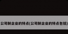 公司制企業(yè)的特點(公司制企業(yè)的特點包括)