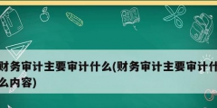 財務(wù)審計主要審計什么(財務(wù)審計主要審計什么內(nèi)容)