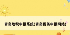 青島地稅申報(bào)系統(tǒng)(青島稅務(wù)申報(bào)網(wǎng)站)